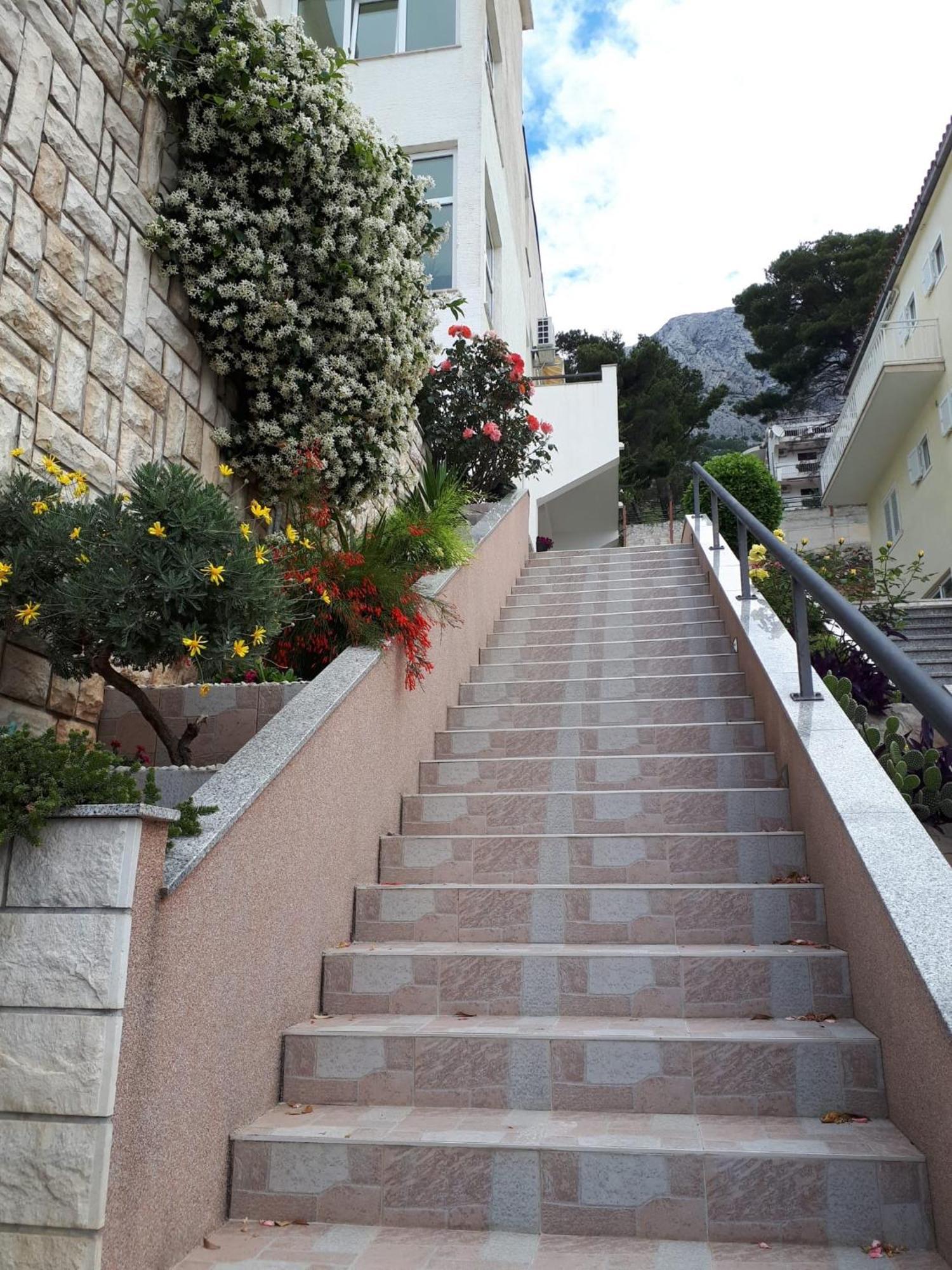 באסקה וודה Apartments Matic מראה חיצוני תמונה